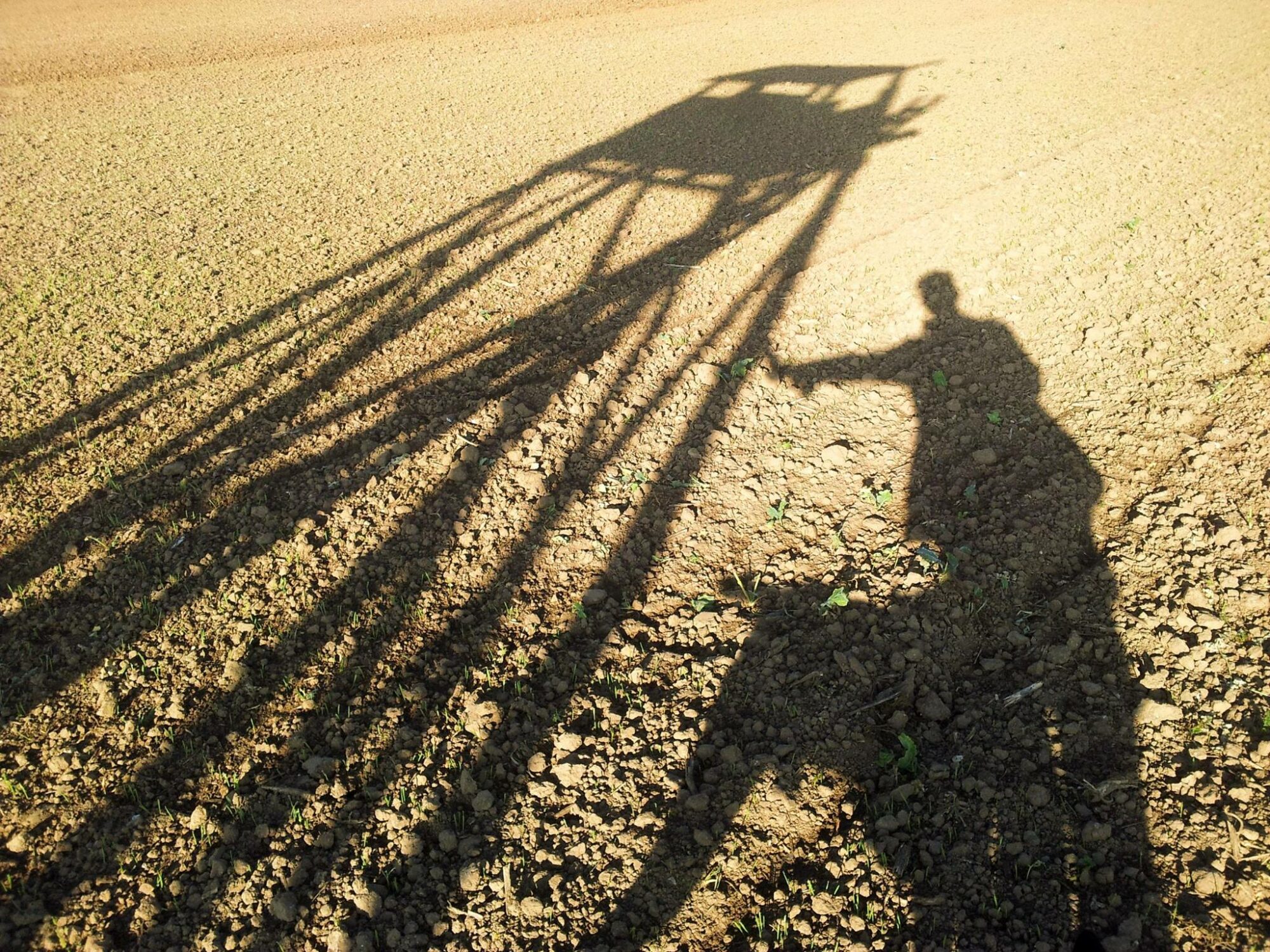 10633704_785083701550518_3032698548789277877_o