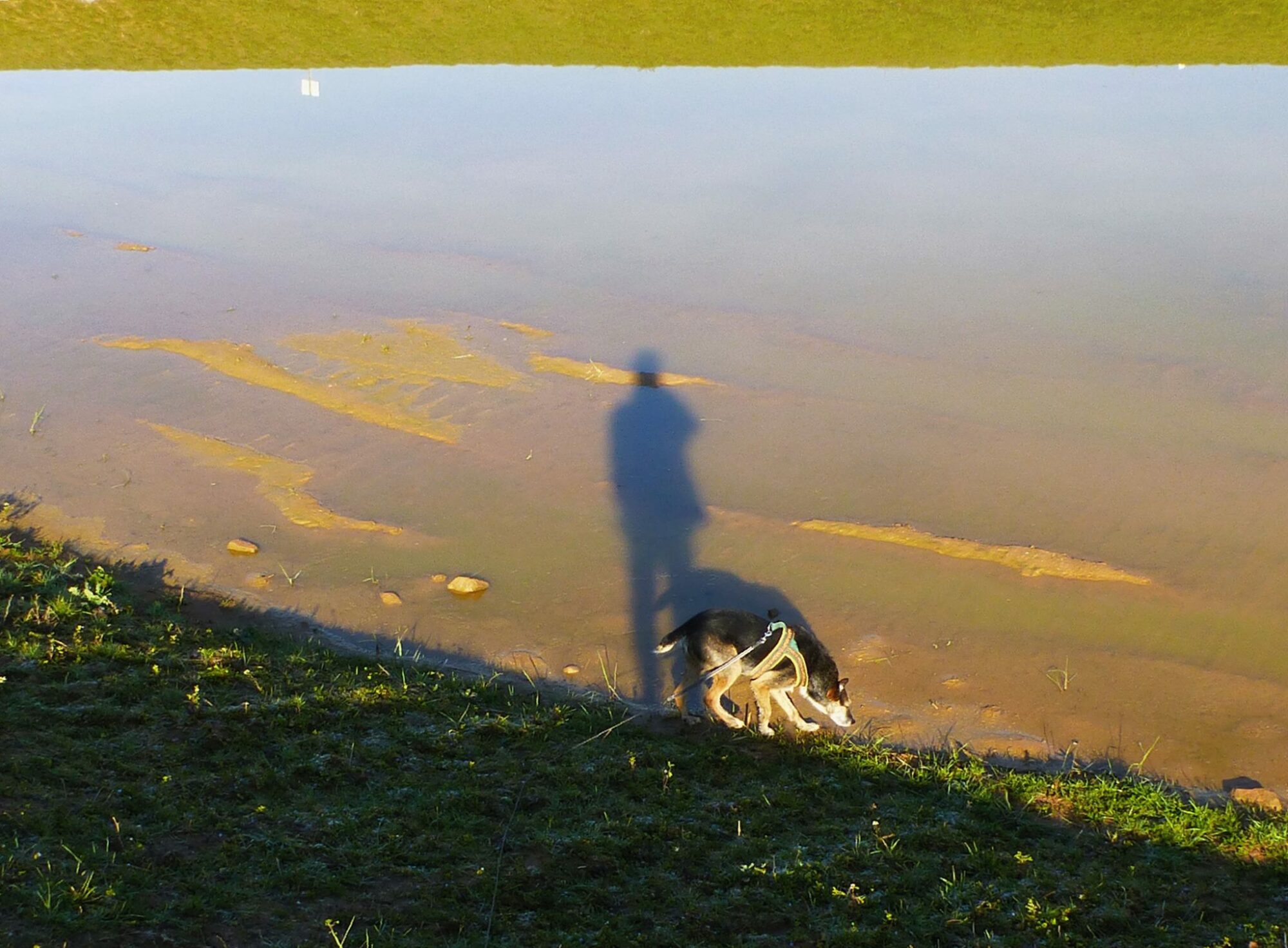 10916349_872015796190641_8715520520721076327_o