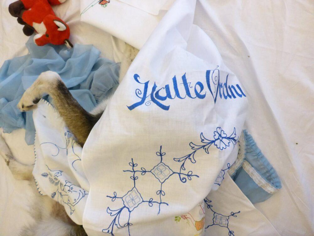 11728806_934725346586352_6879049539733947979_o