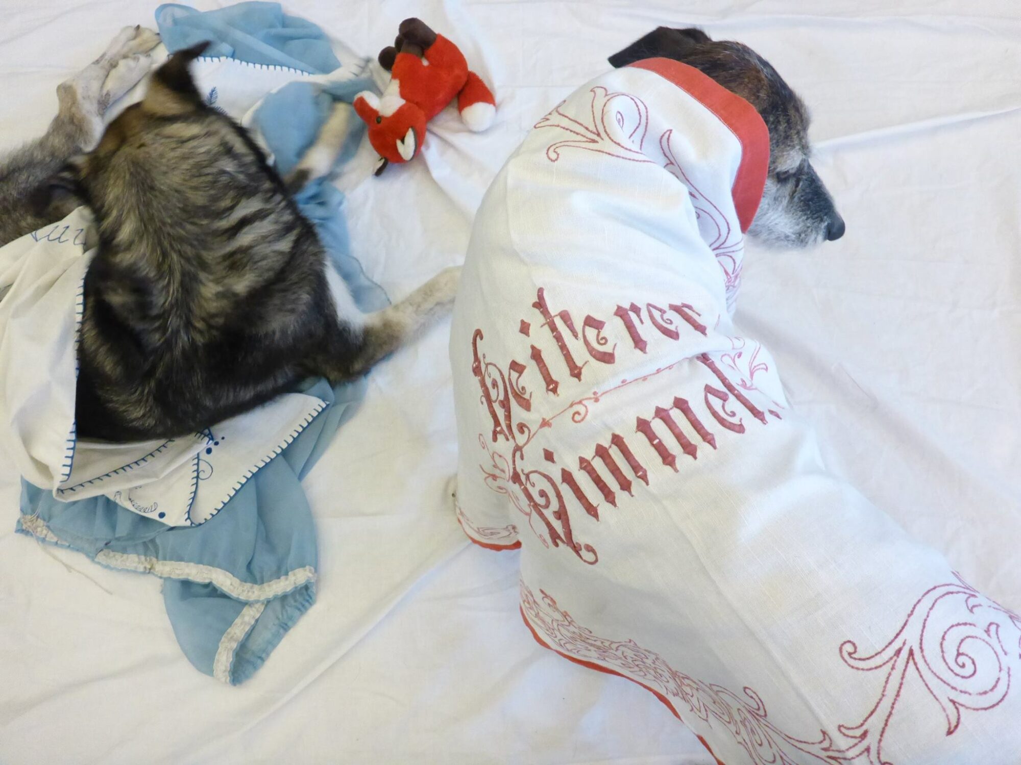 11779931_934725209919699_2971017438244293641_o