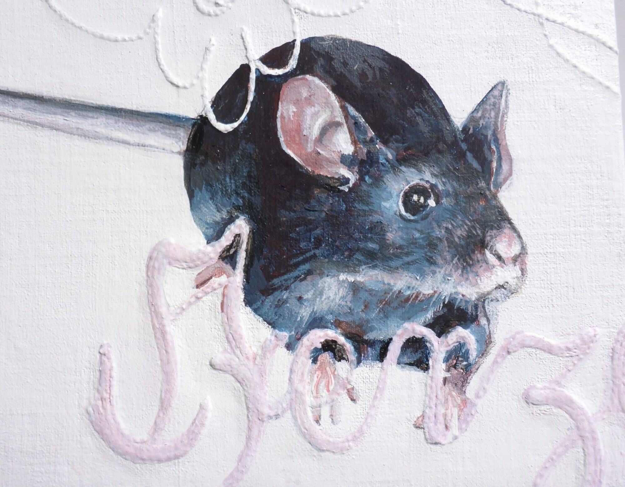 11782335_935157236543163_68214001142081221_o