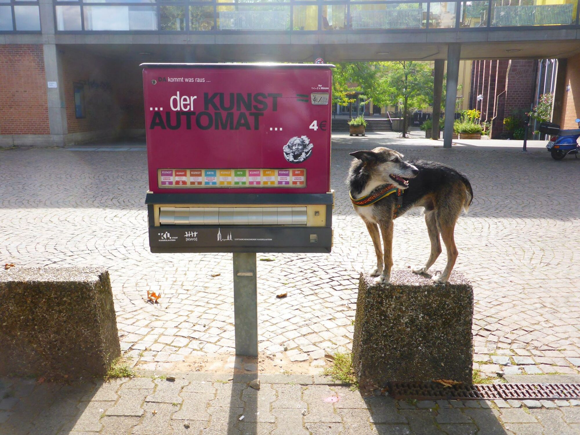 14362442_1180313538694197_5187795633999472206_o