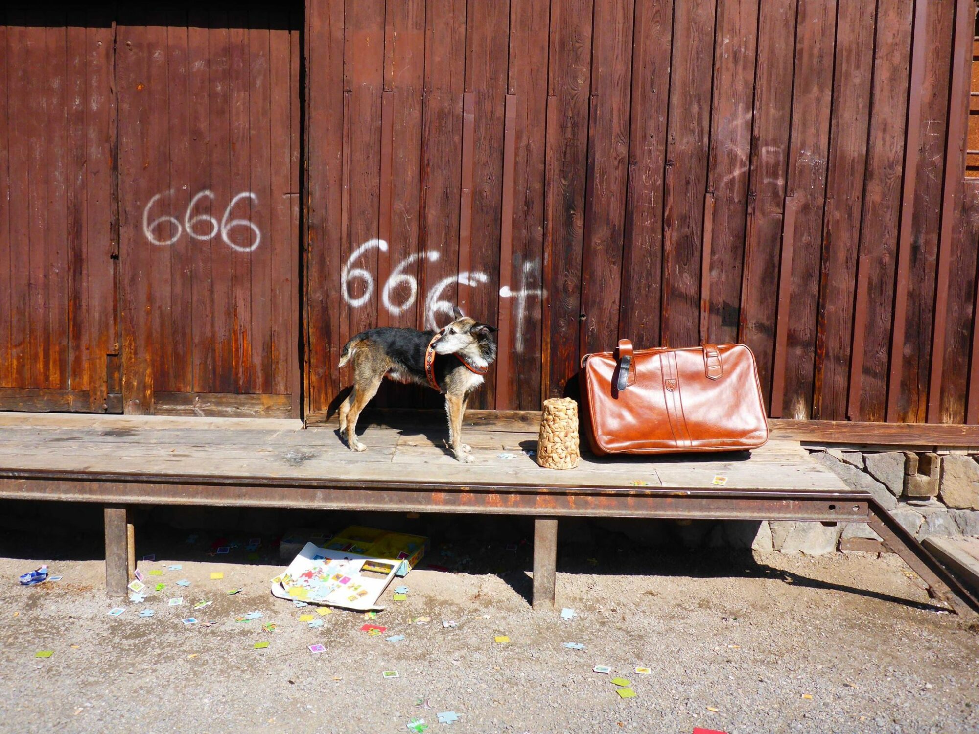 17880411_1400088376716711_1081940385963082370_o