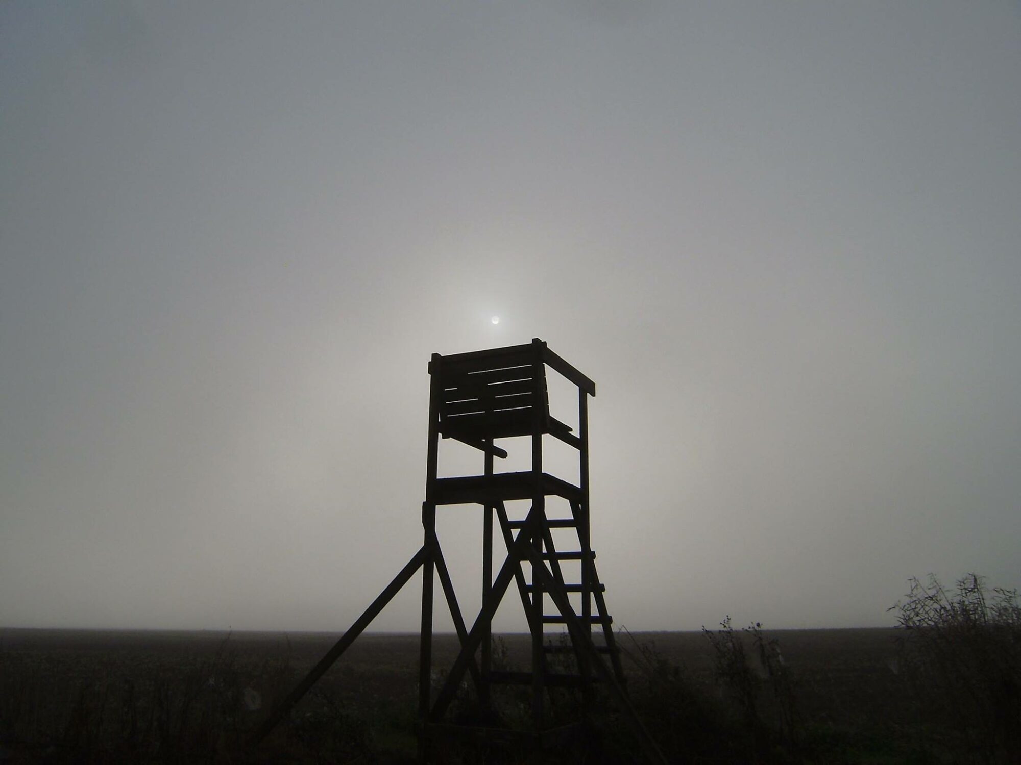 10694224_771979062860982_7730619234328186199_o