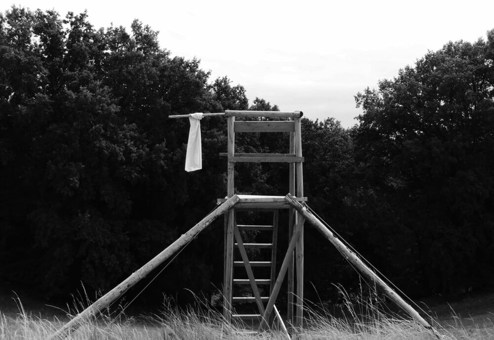 116792032_3251334178258779_6849327852985468614_o