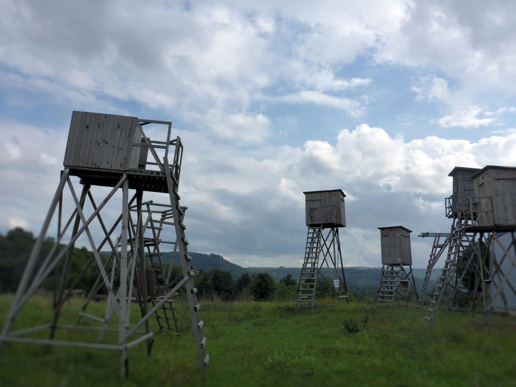 12006488_963041303754756_7879225747369458160_o