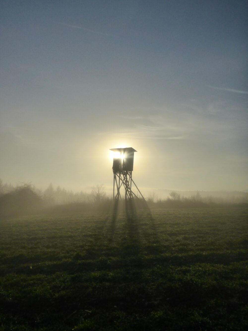 28238959_1703725706352975_563082933832491005_o