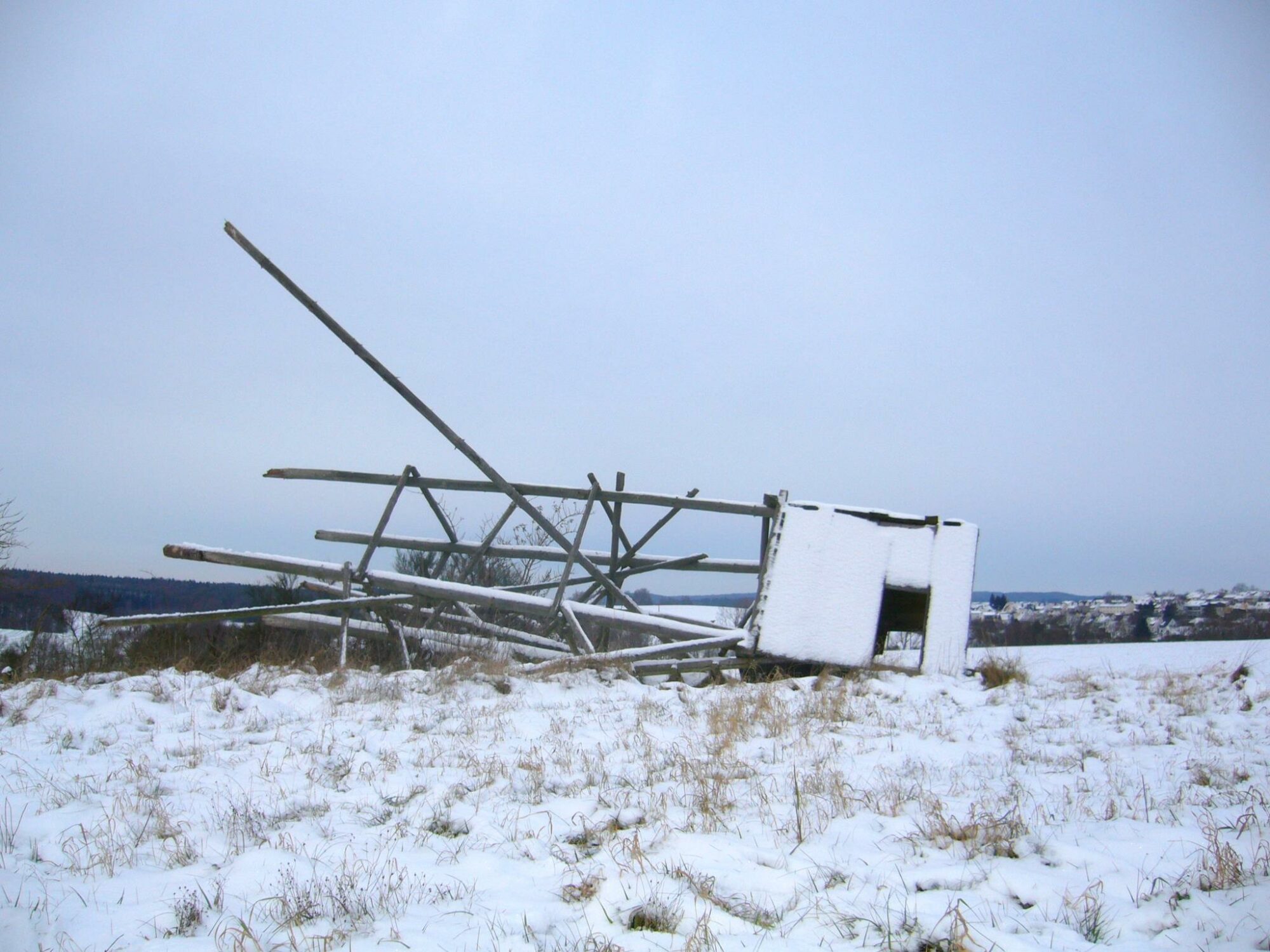 331765_232036493521911_683248185_o