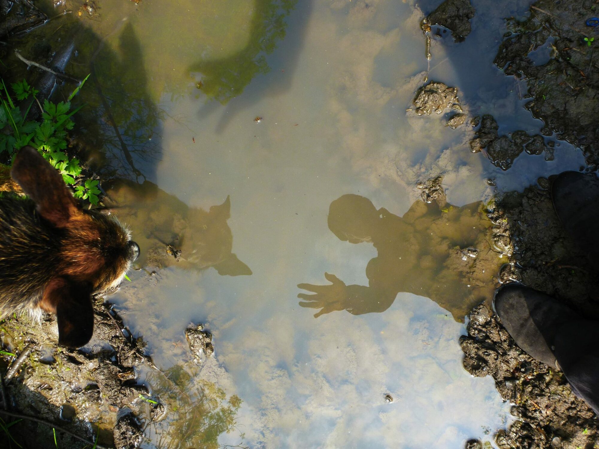 10265597_699000953492127_6041065003484262486_o