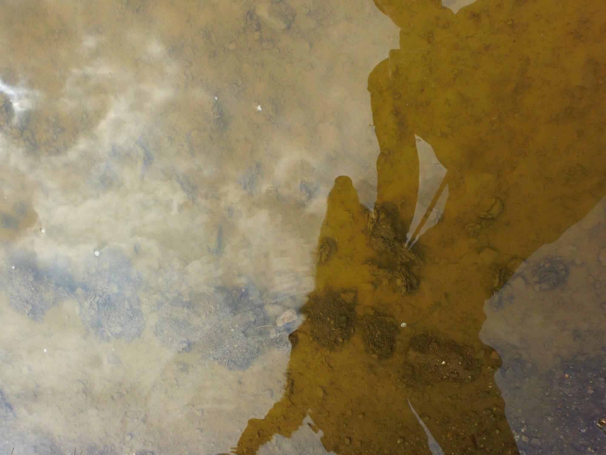 10317673_699000916825464_1005886667696175400_o