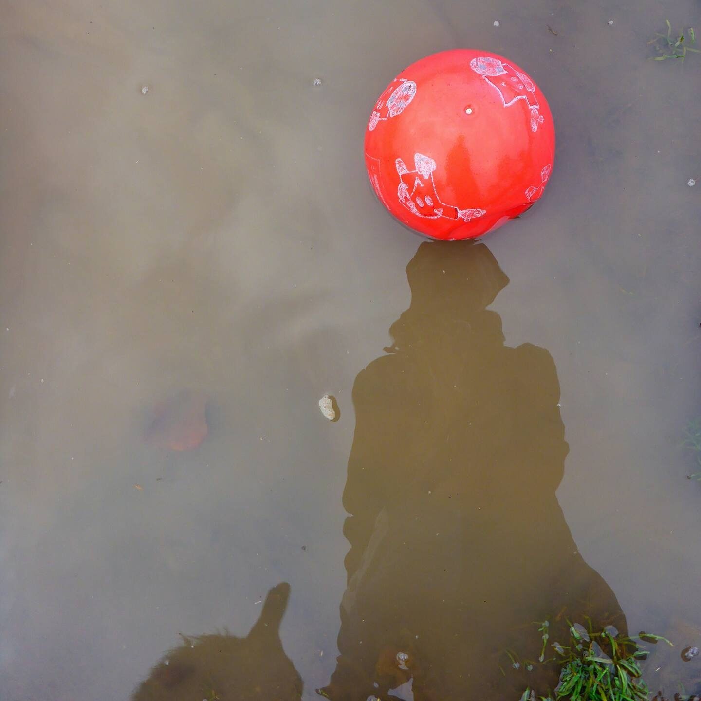 15003286_1223801177678766_2237631033197220108_o