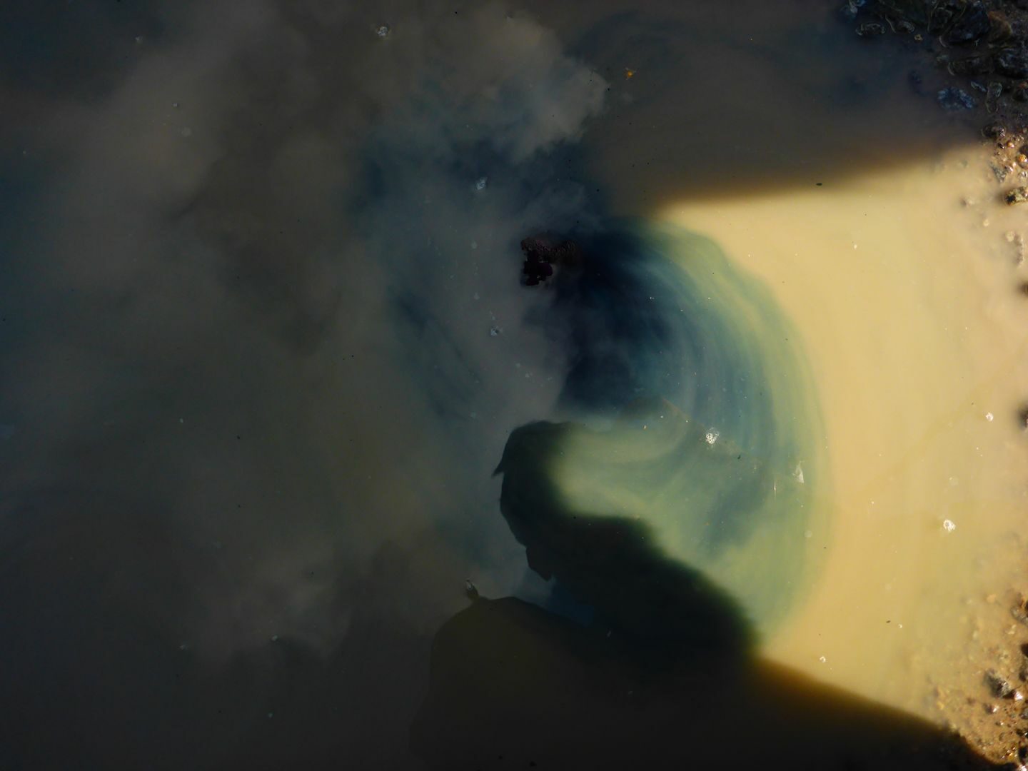 19693770_1472031156189099_4268304299257019065_o