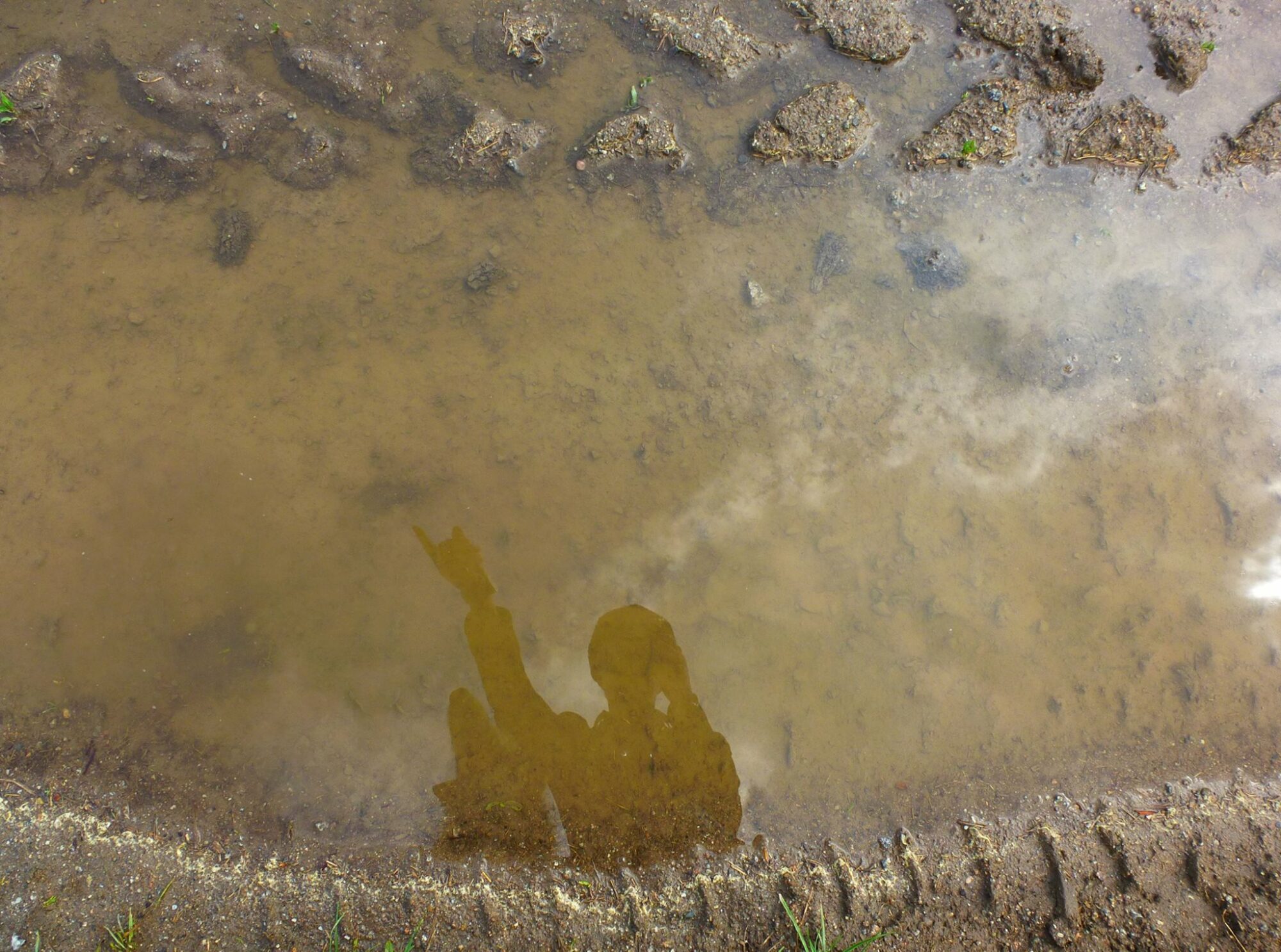 1974038_699001003492122_3801802658376212308_o