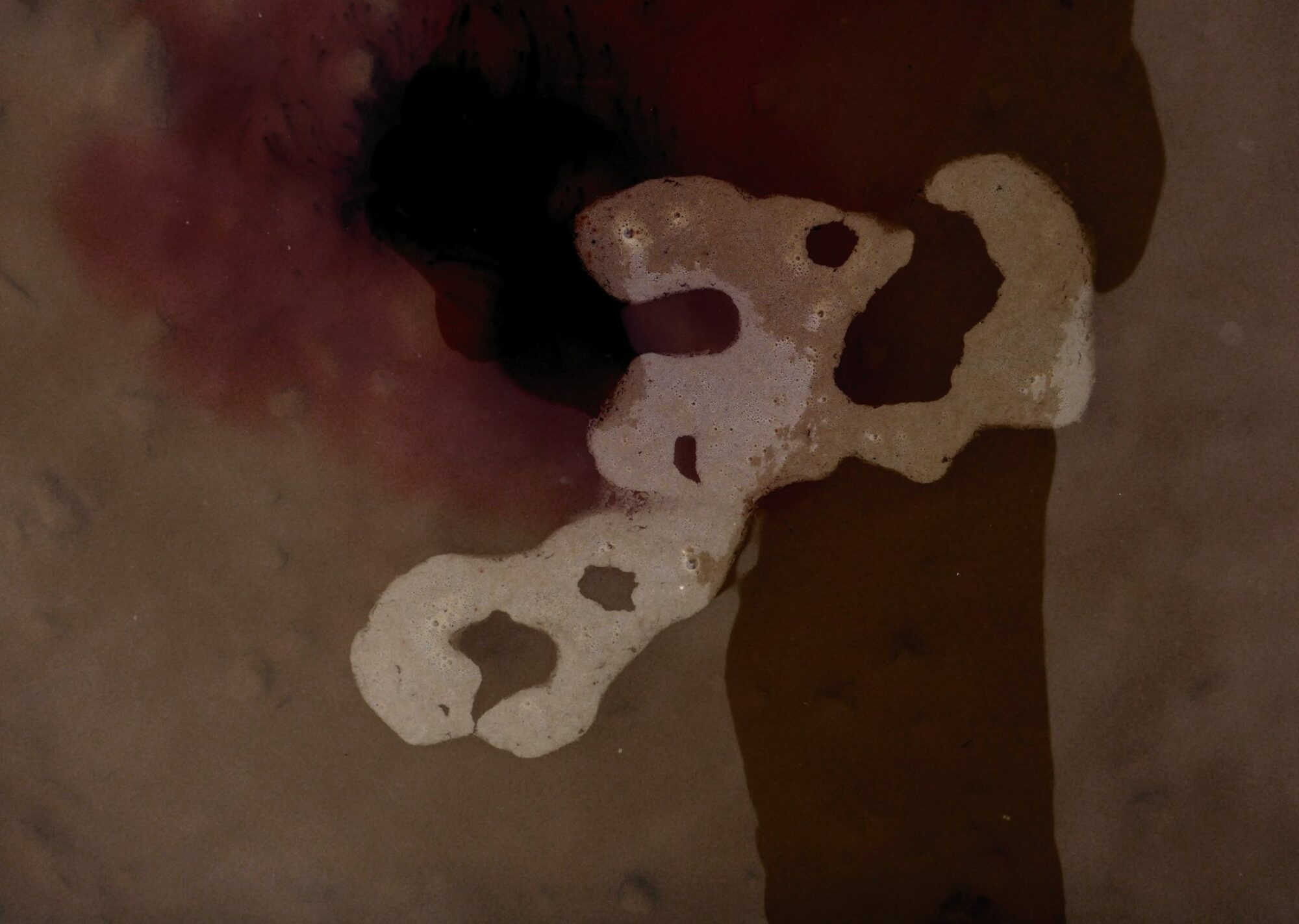 20617012_1510354092356805_5728410067692455946_o