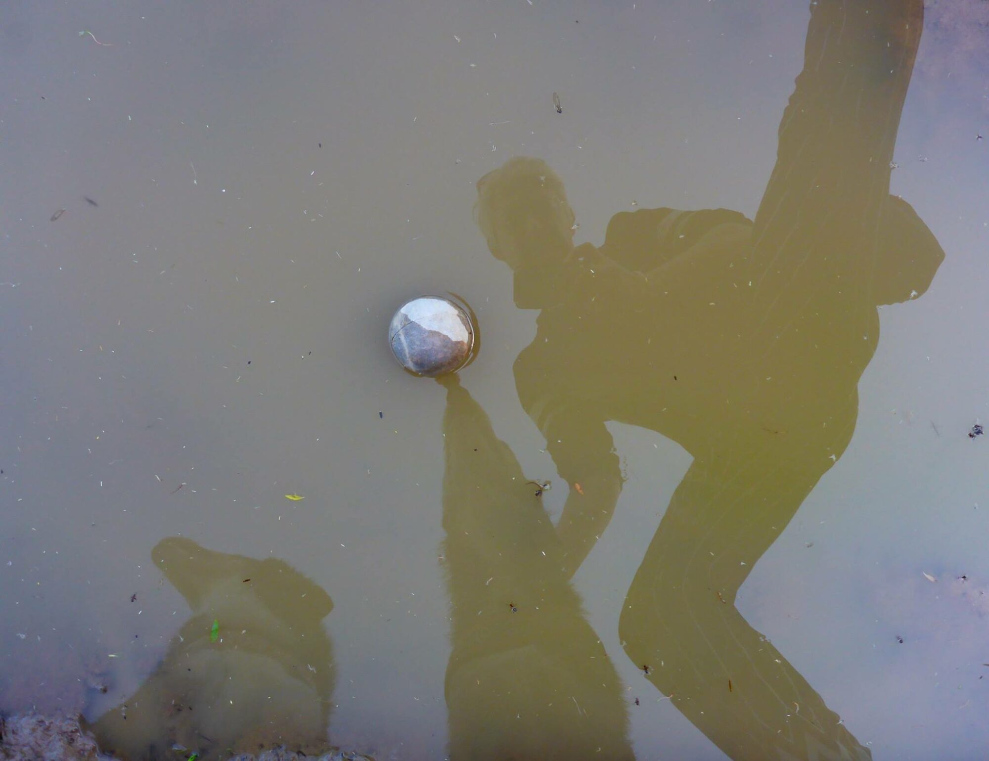 33892868_1799976300061248_4692920381323870208_o