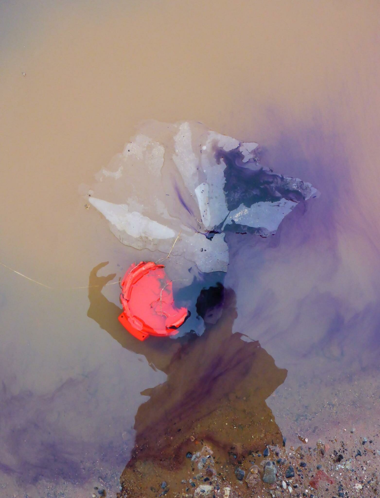 47384258_2065535983505277_2895610197265350656_o