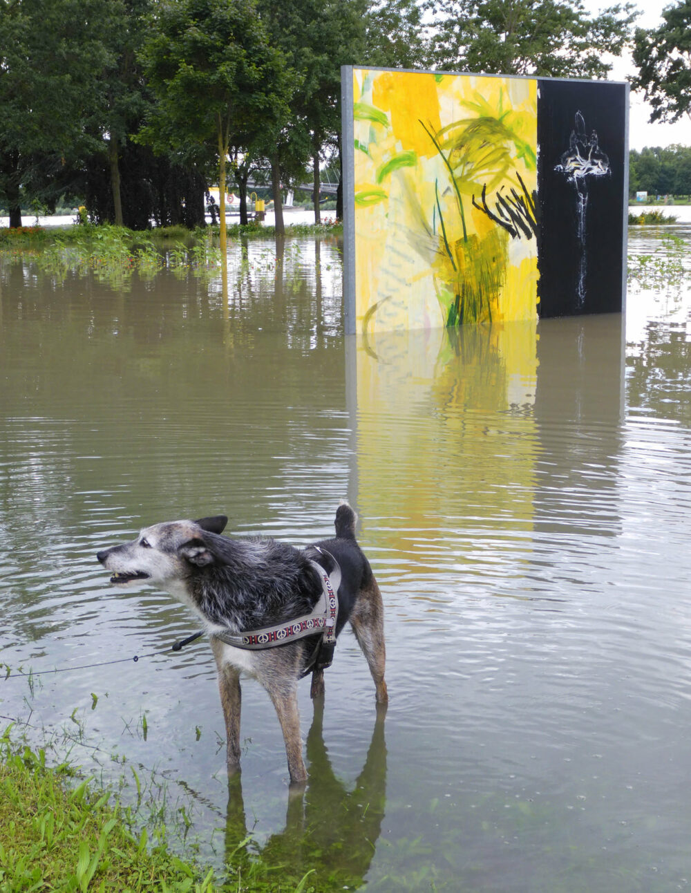 218253595_4219949991397188_48697368738431252_n