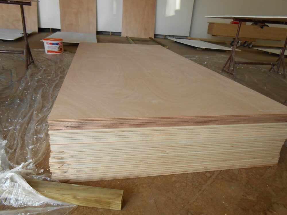 28953964_1858826667475052_7254446312312268104_o