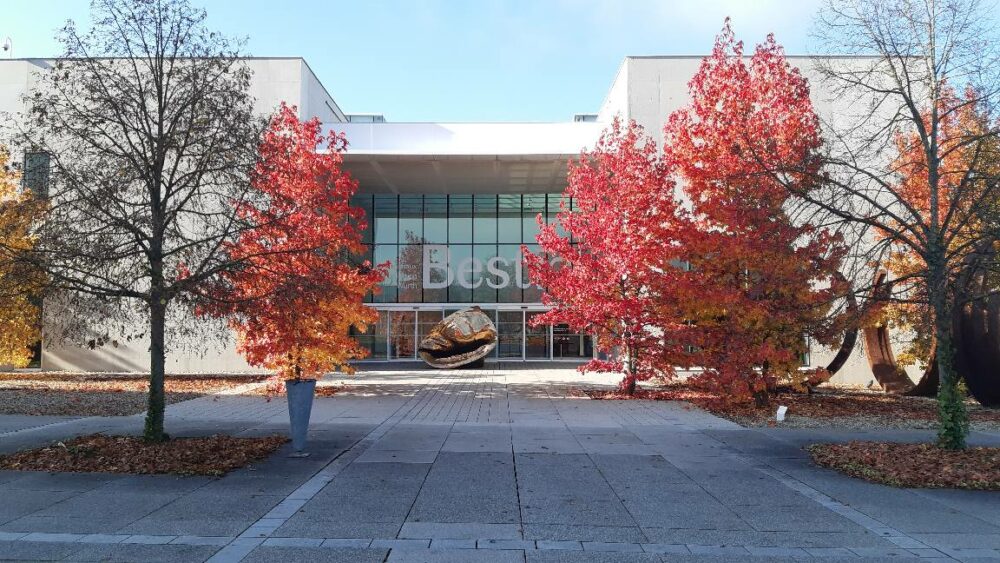 252771686_4568125149913002_8922805034782666828_n