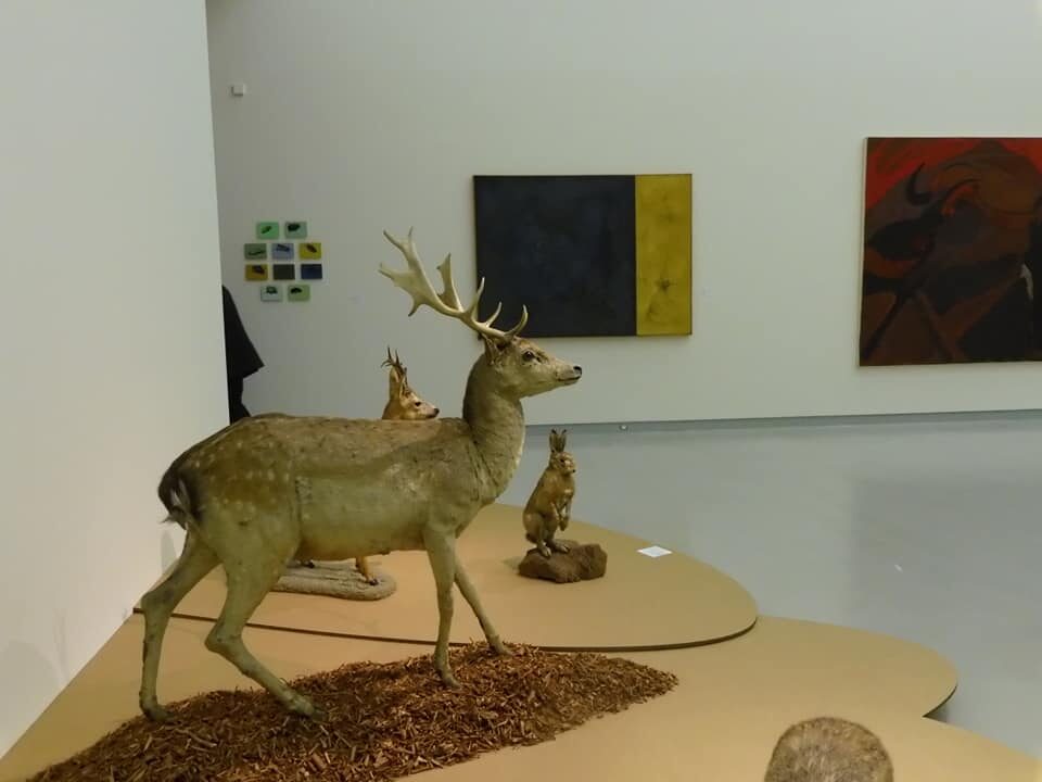 253226147_4568124163246434_8558615834881083431_n