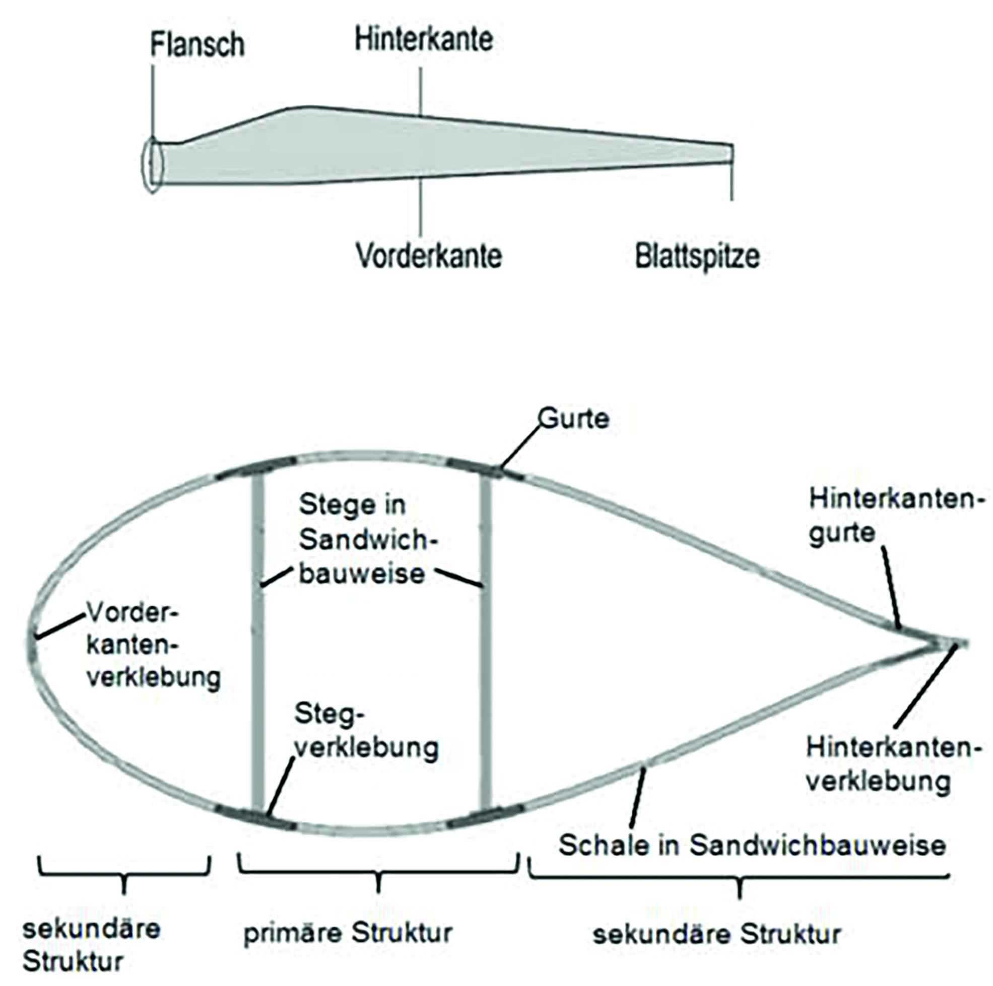 Blattstruktur